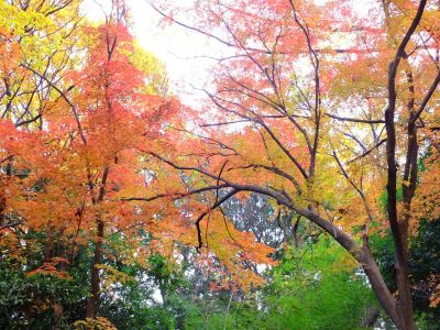 天台宗　長窪山正覚寺

