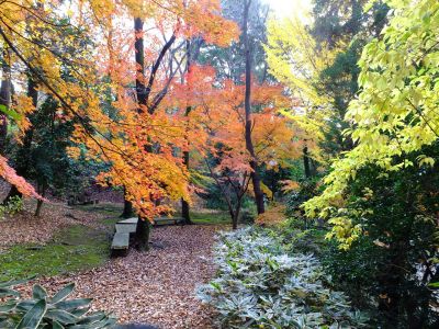 天台宗　長窪山正覚寺
