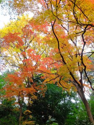 天台宗　長窪山正覚寺
