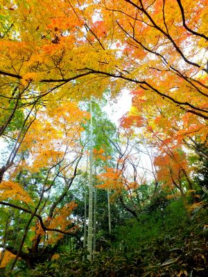 天台宗　長窪山正覚寺

