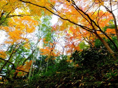 天台宗　長窪山正覚寺
