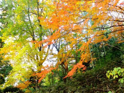 天台宗　長窪山正覚寺
