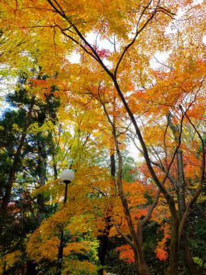 天台宗　長窪山正覚寺
