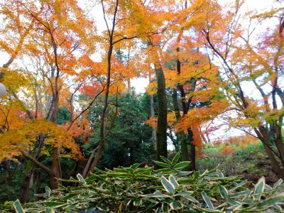 天台宗　長窪山正覚寺
