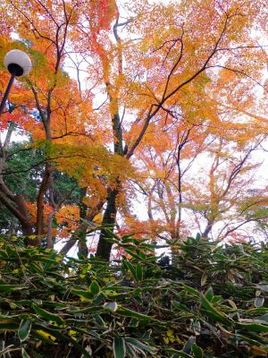 天台宗　長窪山正覚寺
