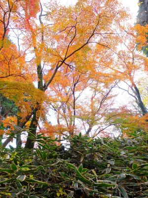 天台宗　長窪山正覚寺
