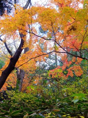 天台宗　長窪山正覚寺
