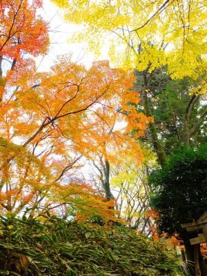 天台宗　長窪山正覚寺
