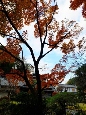 天台宗　長窪山正覚寺

