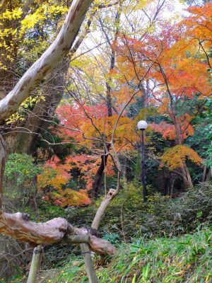 天台宗　長窪山正覚寺
