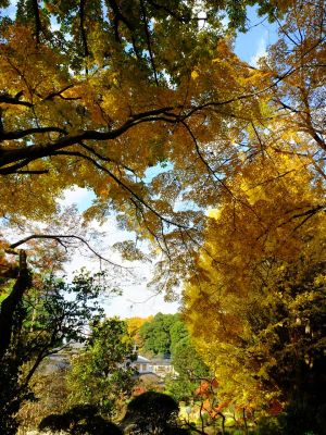 天台宗　長窪山正覚寺
