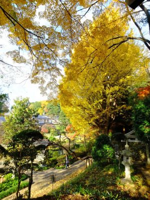 天台宗　長窪山正覚寺
