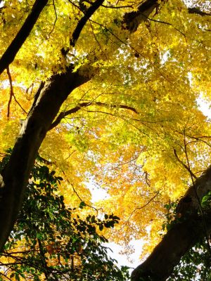 天台宗　長窪山正覚寺
