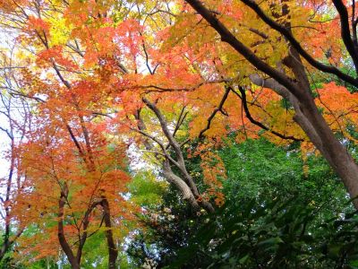天台宗　長窪山正覚寺
