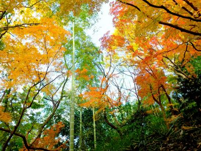 天台宗　長窪山正覚寺
