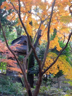 天台宗　長窪山正覚寺
