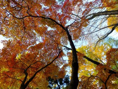 天台宗　長窪山正覚寺

