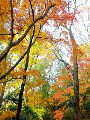 天台宗　長窪山正覚寺
