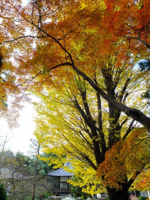 天台宗　長窪山正覚寺
