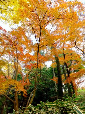 天台宗　長窪山正覚寺
