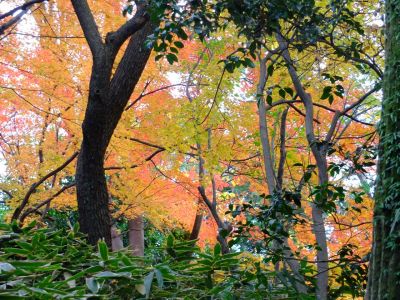 天台宗　長窪山正覚寺
