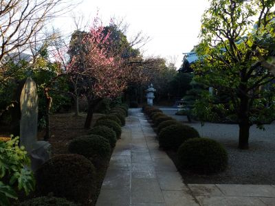 真言宗豊山派自性院
