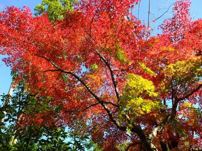 渋沢橋（ささぶねの道）
