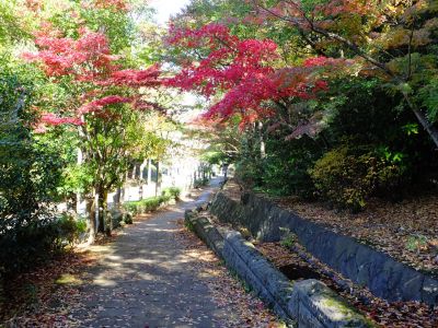 ささぶねの道（若水橋）
