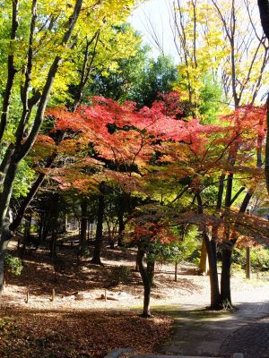 ささぶねの道（御影橋）
