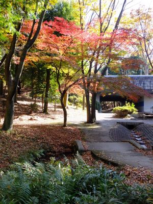 ささぶねの道（御影橋）
