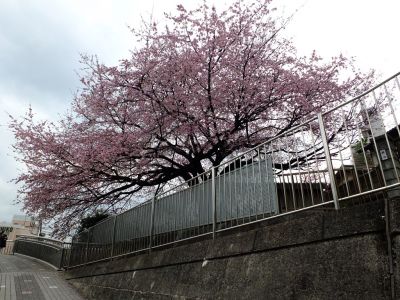 東急田園都市線江田駅前
