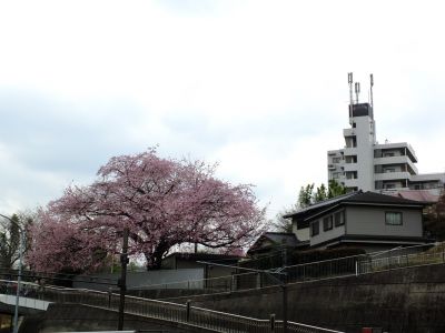 東急田園都市線江田駅前
