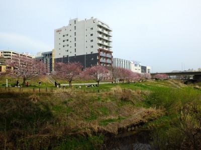 早渕川親水公園（神代曙）
