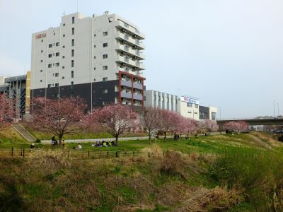 早渕川親水公園（神代曙）
