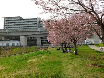 早渕川親水公園（神代曙）
