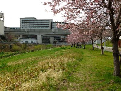 早渕川親水公園（神代曙）
