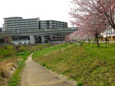 早渕川親水公園（神代曙）
