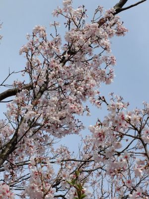 なかこうちはし
