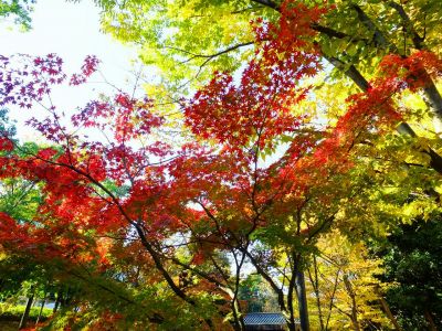 ささぶねの道（渋沢橋）
