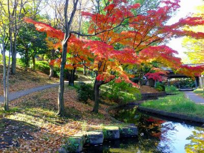 ささぶねの道（渋沢橋）
