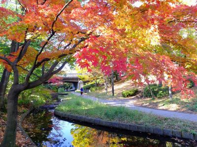 ささぶねの道（渋沢橋）

