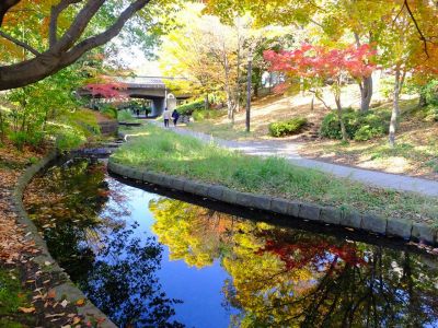 ささぶねの道（渋沢橋）
