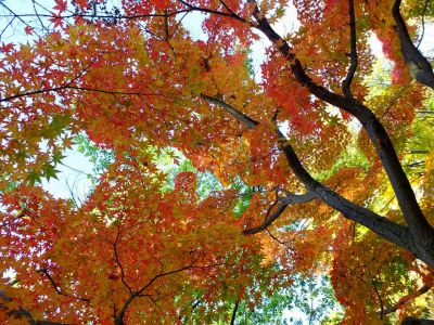 ささぶねの道（渋沢橋）

