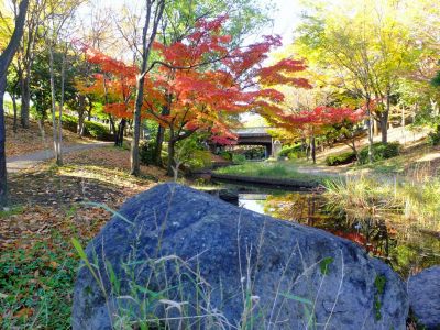 ささぶねの道（渋沢橋）
