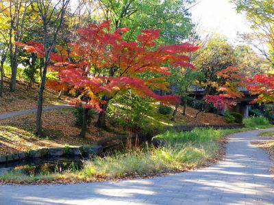 ささぶねの道（渋沢橋）
