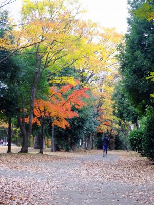ささぶねの道（御影橋）葛ケ谷公園
