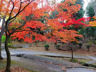 ささぶねの道（御影橋）
