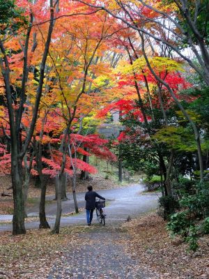 ささぶねの道（御影橋）

