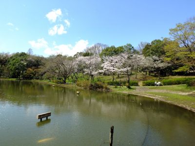 鴨池公園
