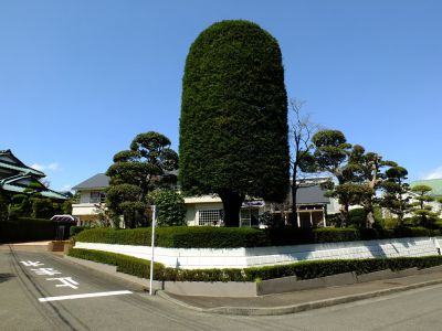 茅ヶ崎公園近く

